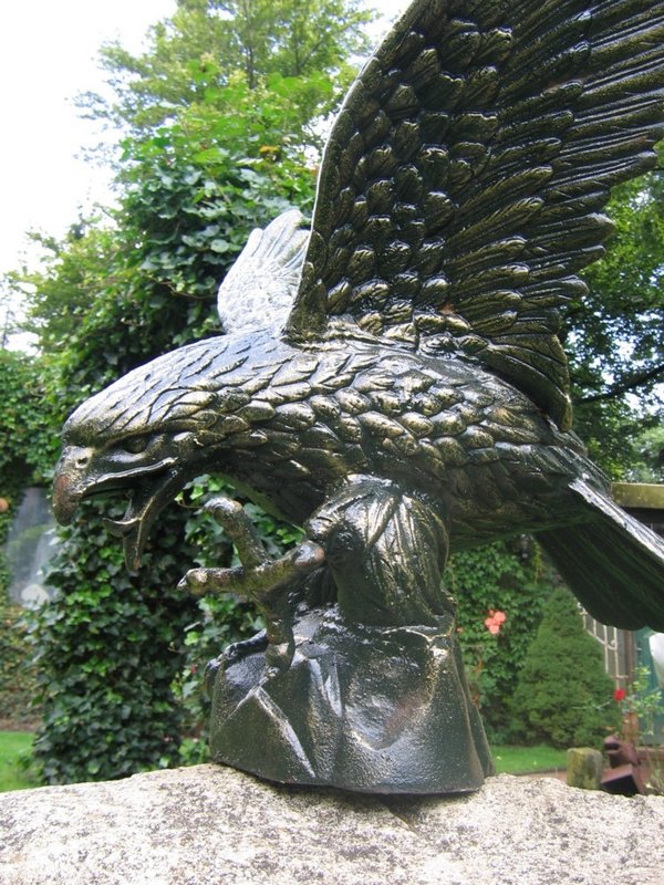 Großer Adler, Vogel, Greifvogel, Greif, links, 118cm x 80cm, Denkmal,
